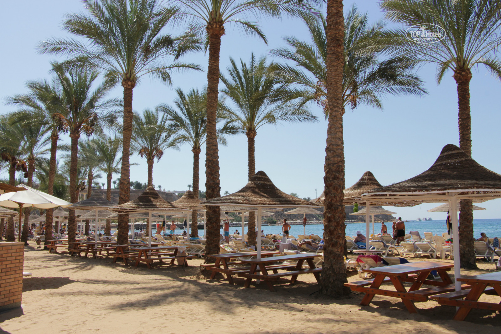 Отель seti sharm