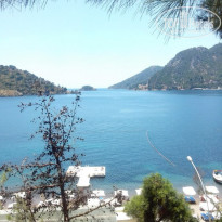 фото из отзыва ID 1136626