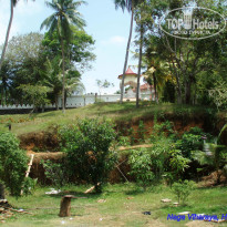 фото из отзыва ID 1138612