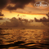 фото из отзыва ID 1138612