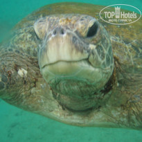 фото из отзыва ID 1138612