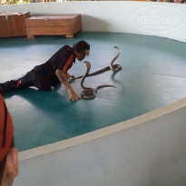 фото из отзыва ID 1139635