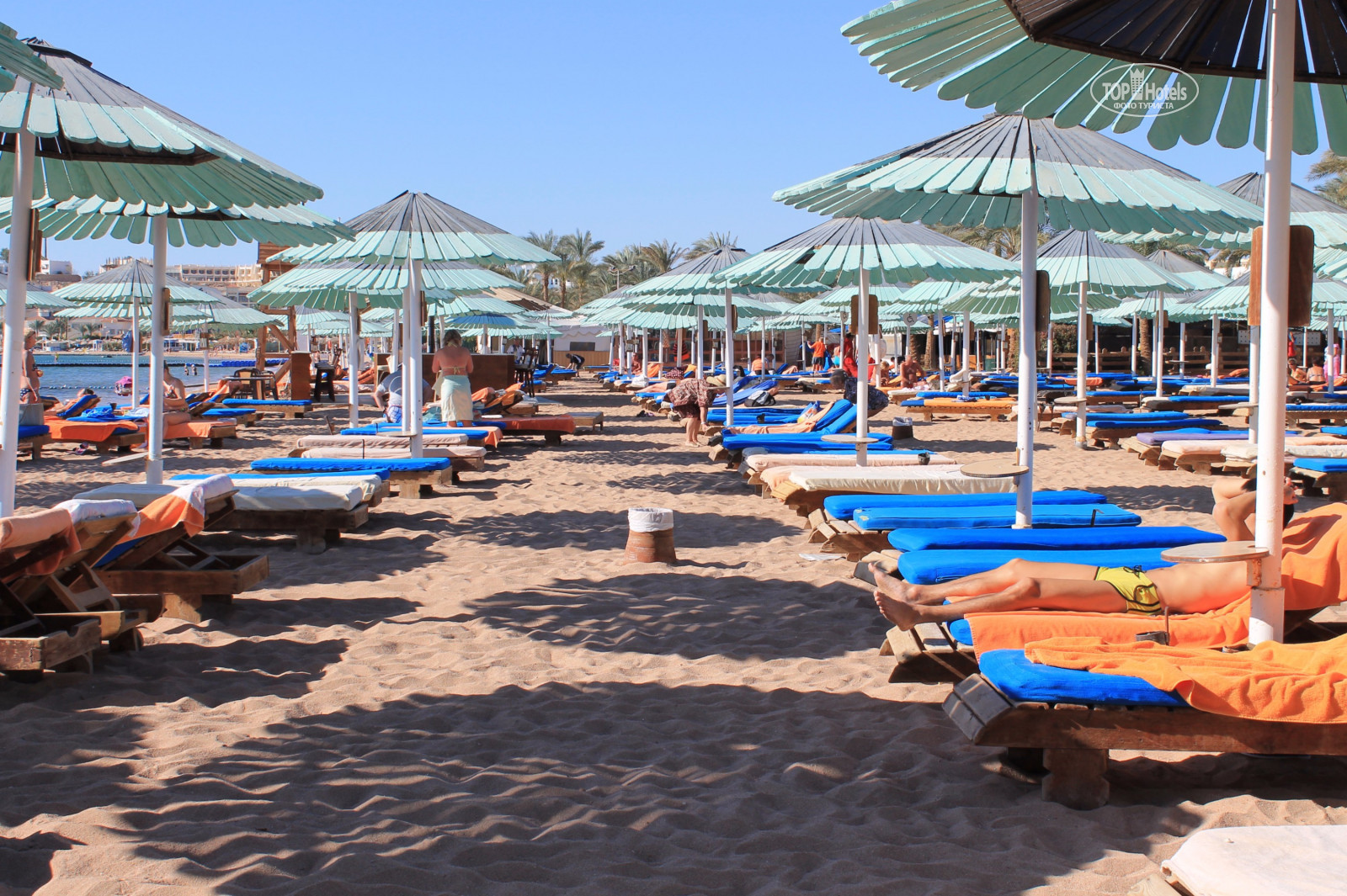 Ghazala beach шарм эль шейх hotel 4