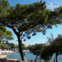 фото из отзыва ID 1145544