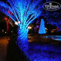 фото из отзыва ID 1145544