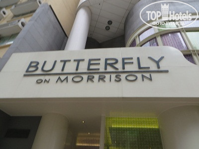 Фото Butterfly on Morrison
