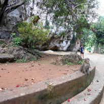 фото из отзыва ID 1147361