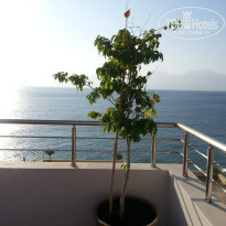 фото из отзыва ID 1151345