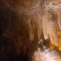 фото из отзыва ID 1154341