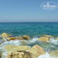 фото из отзыва ID 1155799