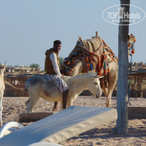 фото из отзыва ID 1165382