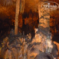 фото из отзыва ID 1166697