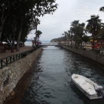 фото из отзыва ID 1168041