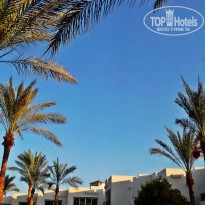 фото из отзыва ID 1174479