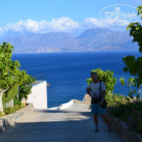 фото из отзыва ID 1170674