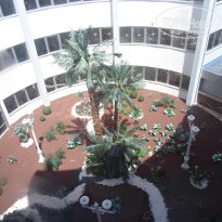 фото из отзыва ID 1182657