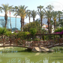 фото из отзыва ID 1182779