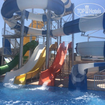 фото из отзыва ID 1183638