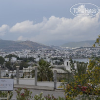 фото из отзыва ID 1185291