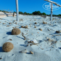 фото из отзыва ID 1186249