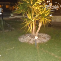 фото из отзыва ID 1191244