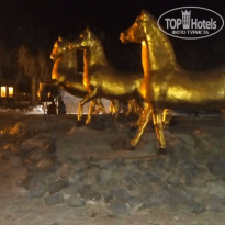 фото из отзыва ID 1191244