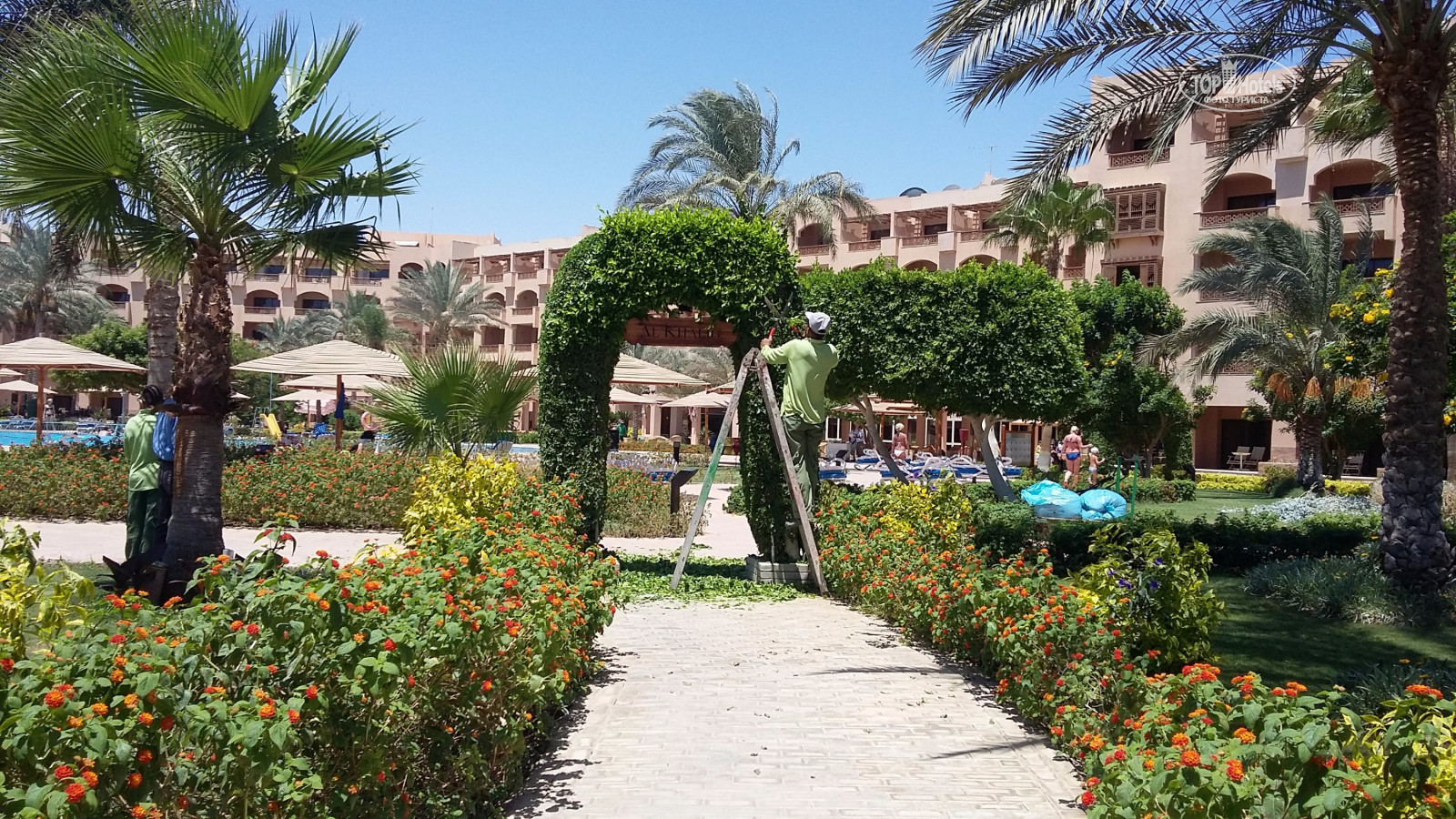 Continental hurghada resort. Континенталь Хургада. Continental Hotel Hurghada. Continental Hotel Hurghada 5. Отель Континенталь Египет вид сверху.