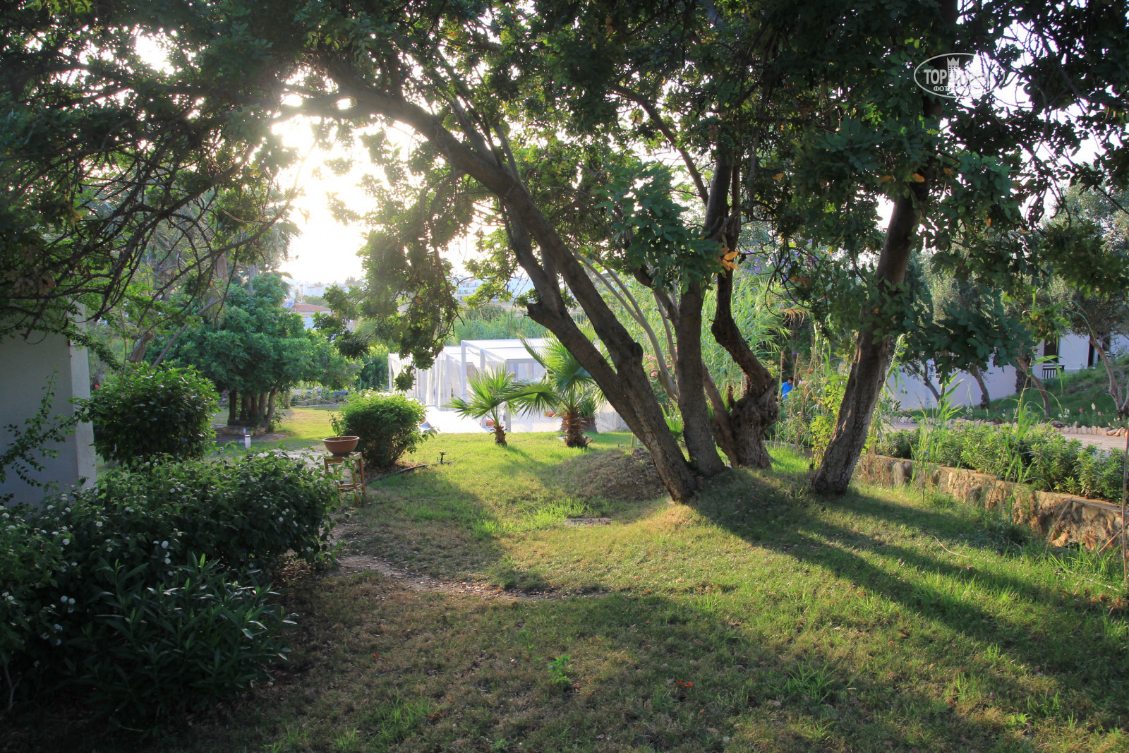 Отель Latchi Family Resort