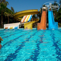 фото из отзыва ID 1199002