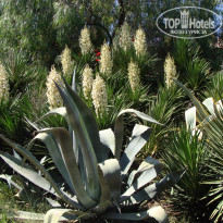 фото из отзыва ID 1201626