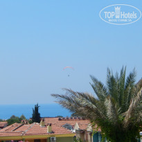 фото из отзыва ID 1202259