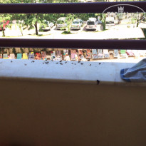 фото из отзыва ID 1207851