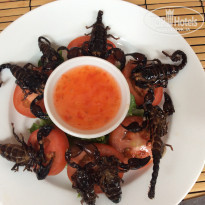 фото из отзыва ID 1210449