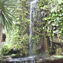 фото из отзыва ID 1211880