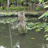 фото из отзыва ID 1211880