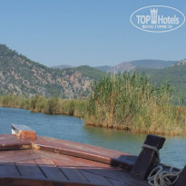 фото из отзыва ID 1213494