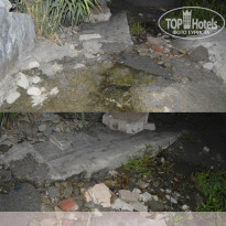 фото из отзыва ID 1213815