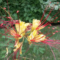 фото из отзыва ID 1215811