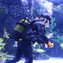 фото из отзыва ID 1222327