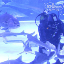 фото из отзыва ID 1222327