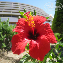 фото из отзыва ID 1224826