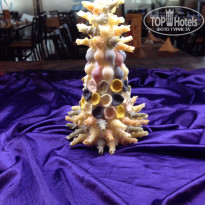 фото из отзыва ID 1225980