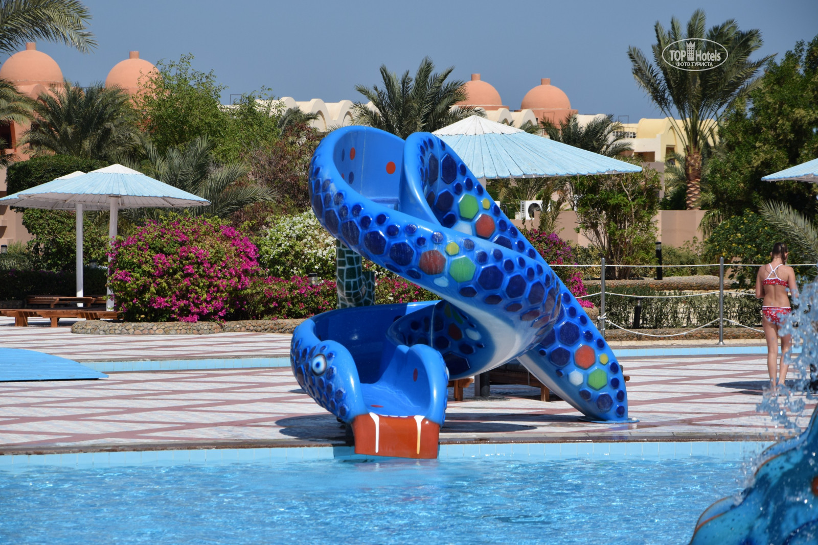 Pharaoh azur resort отзывы