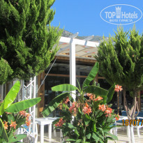 фото из отзыва ID 1233716