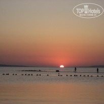 фото из отзыва ID 1235348