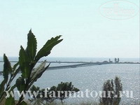 фото из отзыва ID 124164