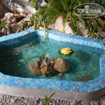 фото из отзыва ID 1246855