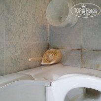 фото из отзыва ID 1247469