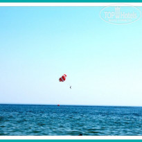 фото из отзыва ID 1248783