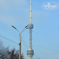 фото из отзыва ID 1248273